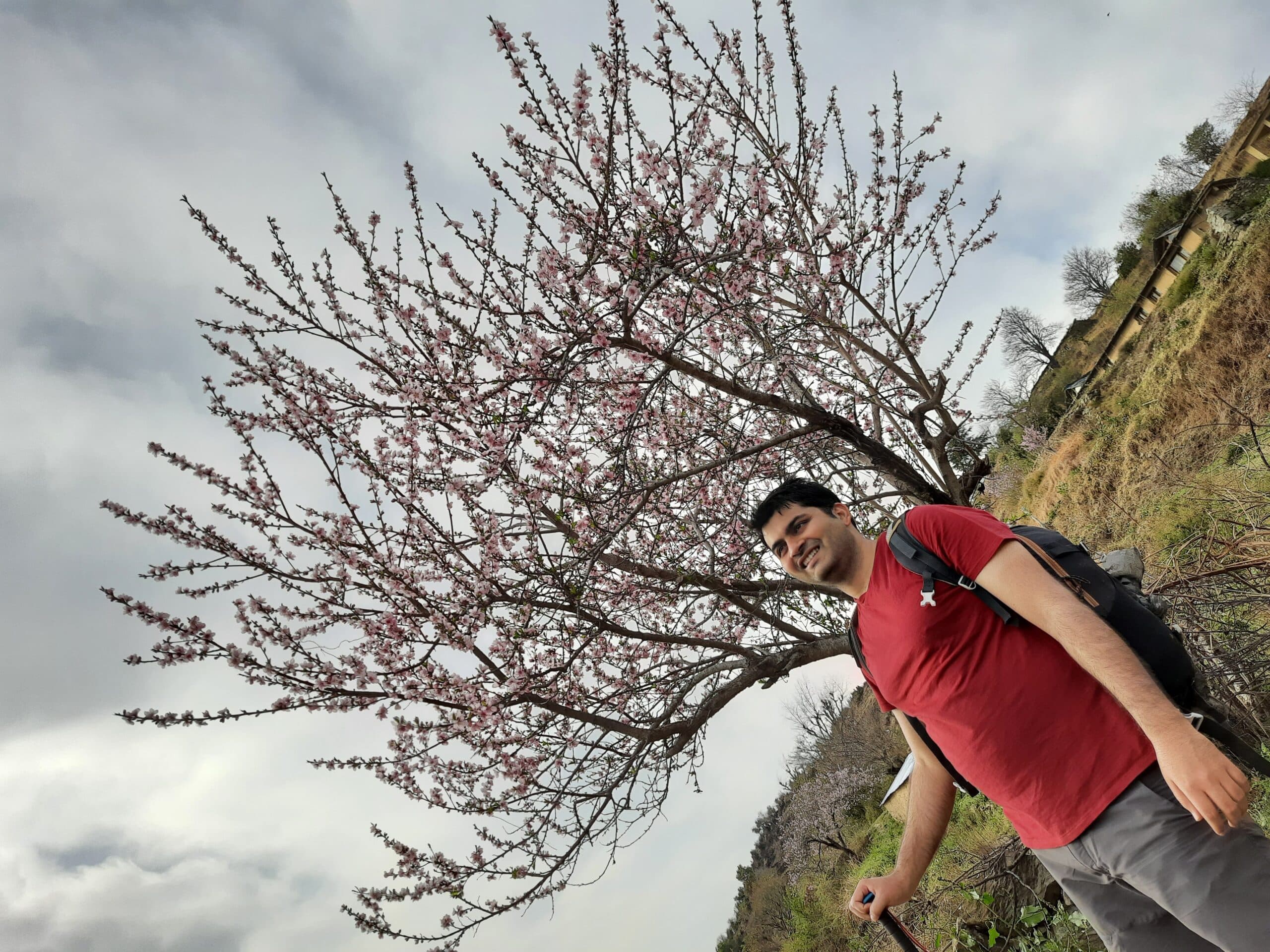 Nag Tibba Trek