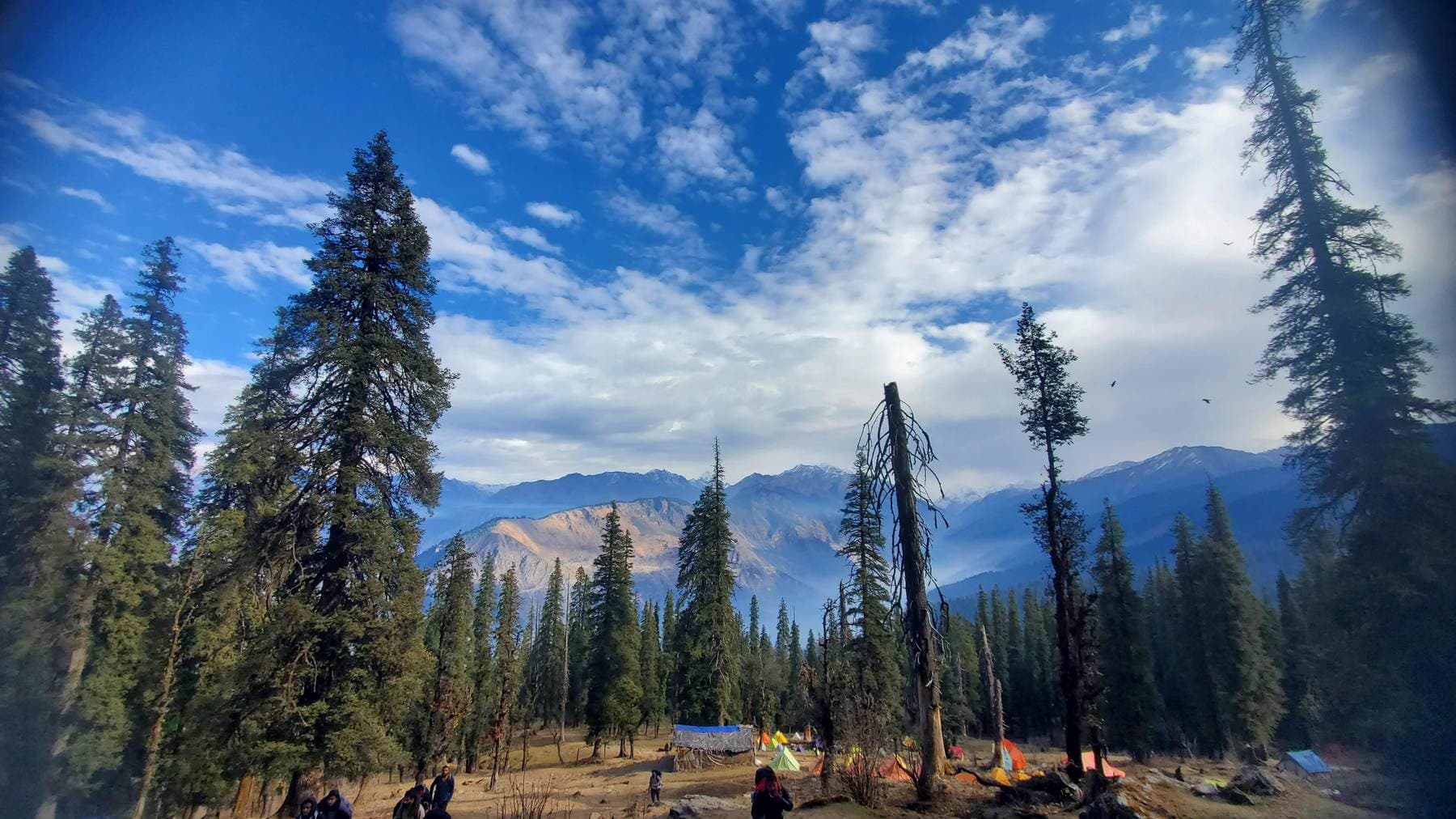 kedarkantha Trek