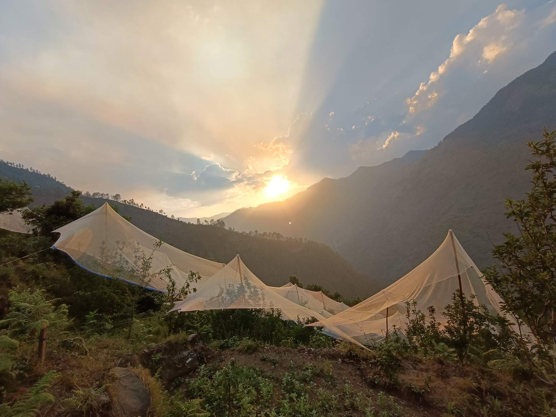 Har Ki Dun Trek: Green Valleys, Snow & Memories That Stayed With Me