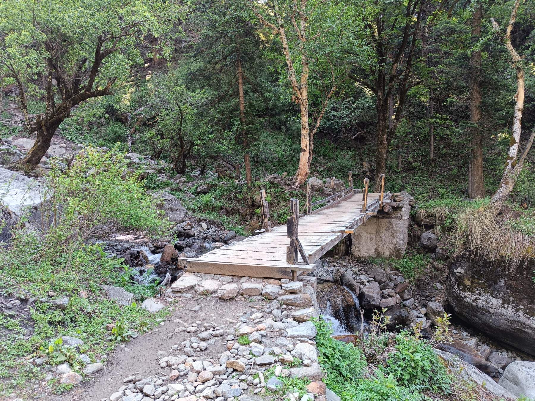 Har Ki Dun Trek: Green Valleys, Snow & Memories That Stayed With Me
