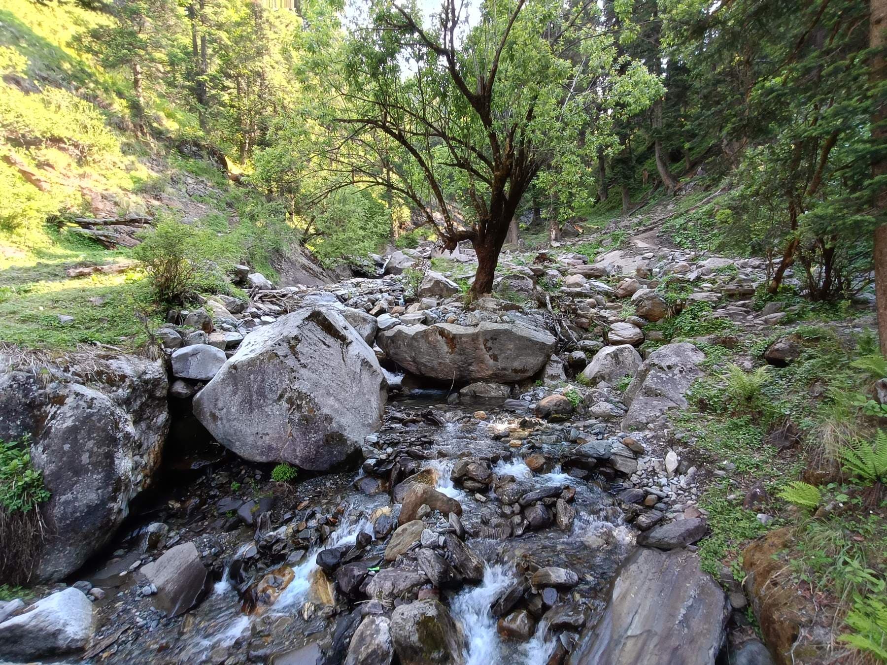 Har Ki Dun Trek: Green Valleys, Snow & Memories That Stayed With Me