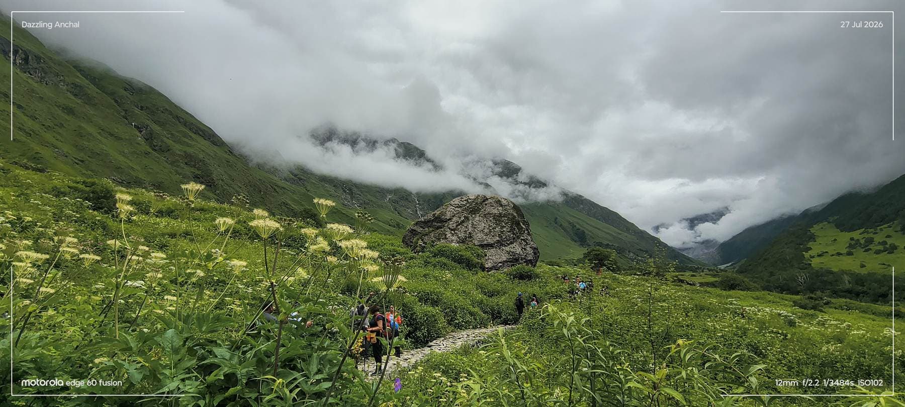 Valley of Flowers Trek: The Mountains Finally Called Me Back