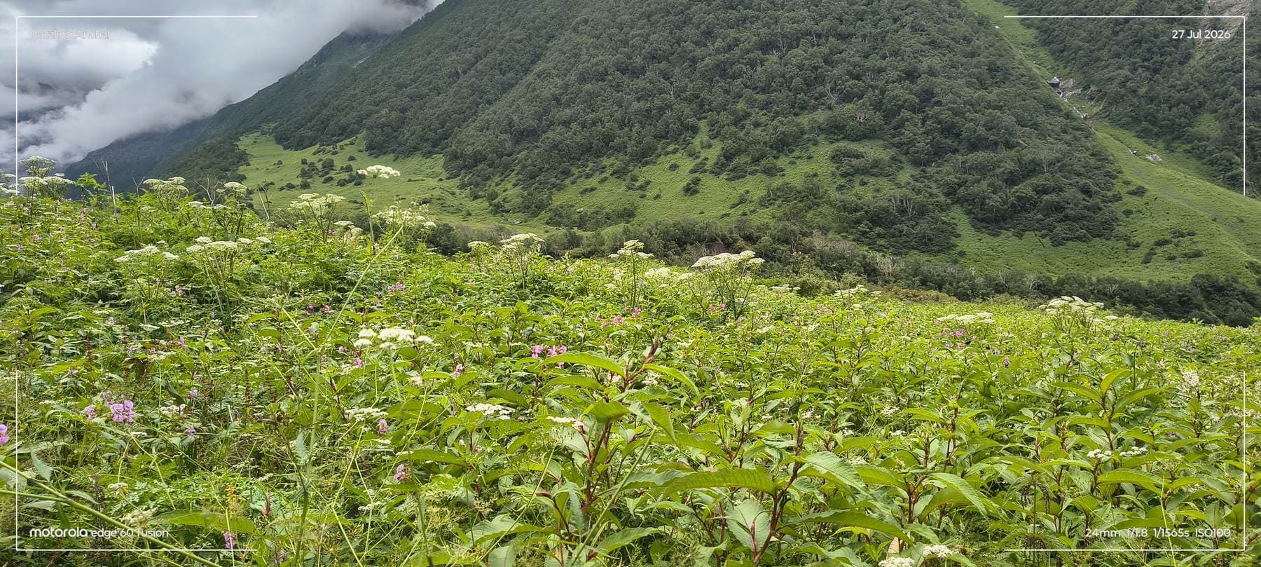 Valley of Flowers Trek: The Mountains Finally Called Me Back
