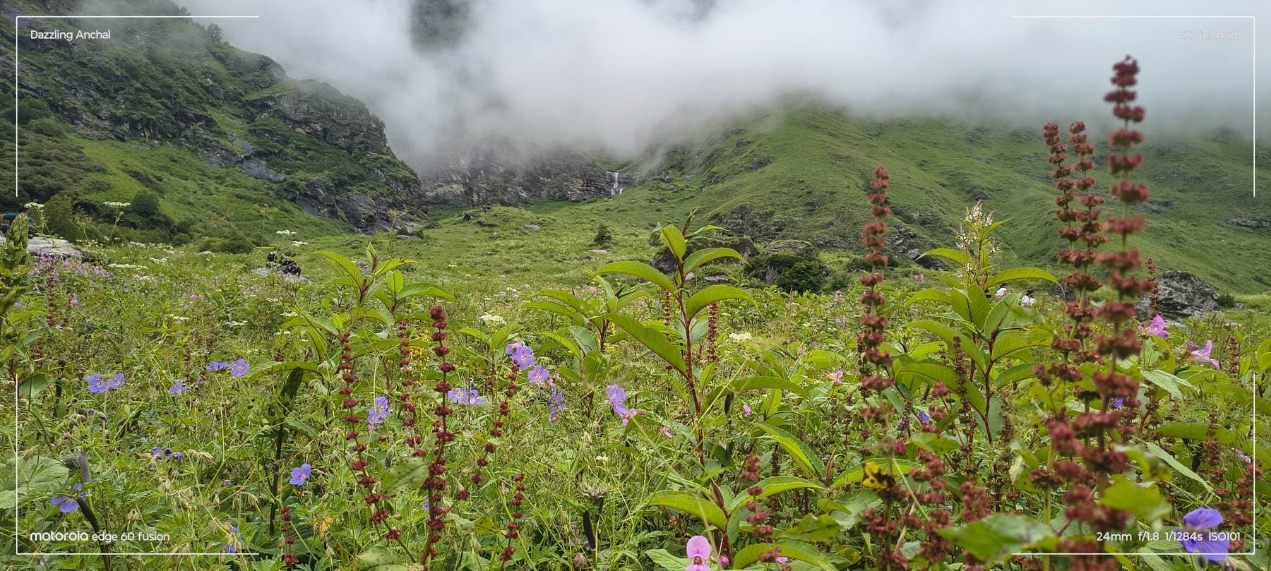 Valley of Flowers Trek: The Mountains Finally Called Me Back